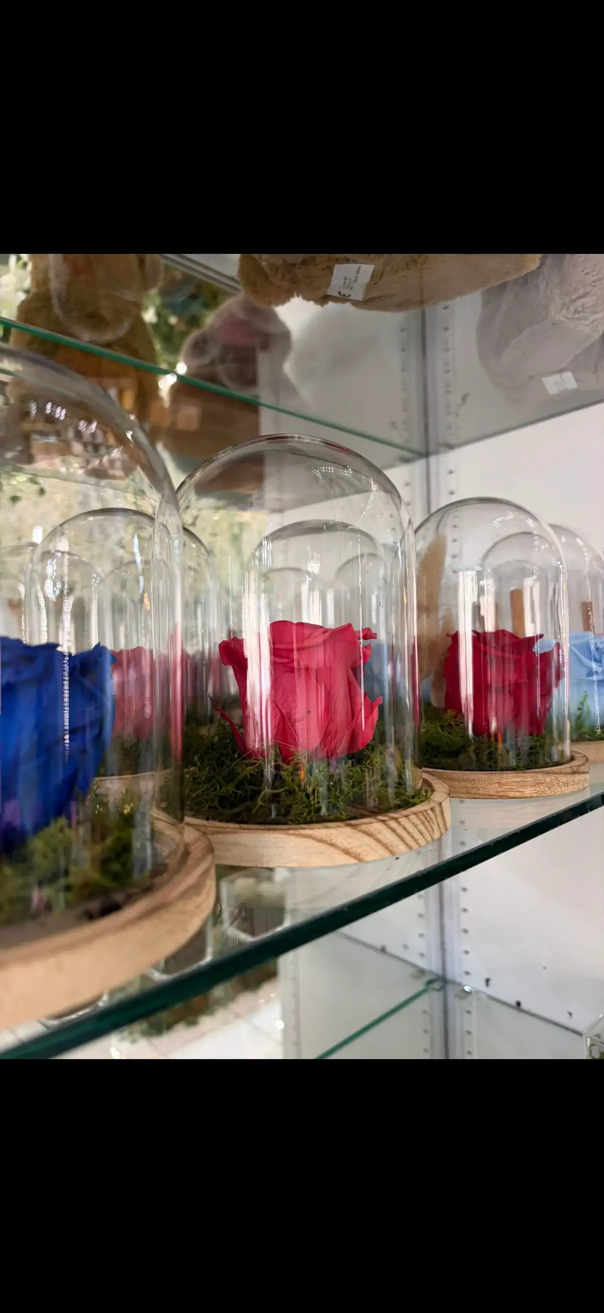 Rose éternelle cloche