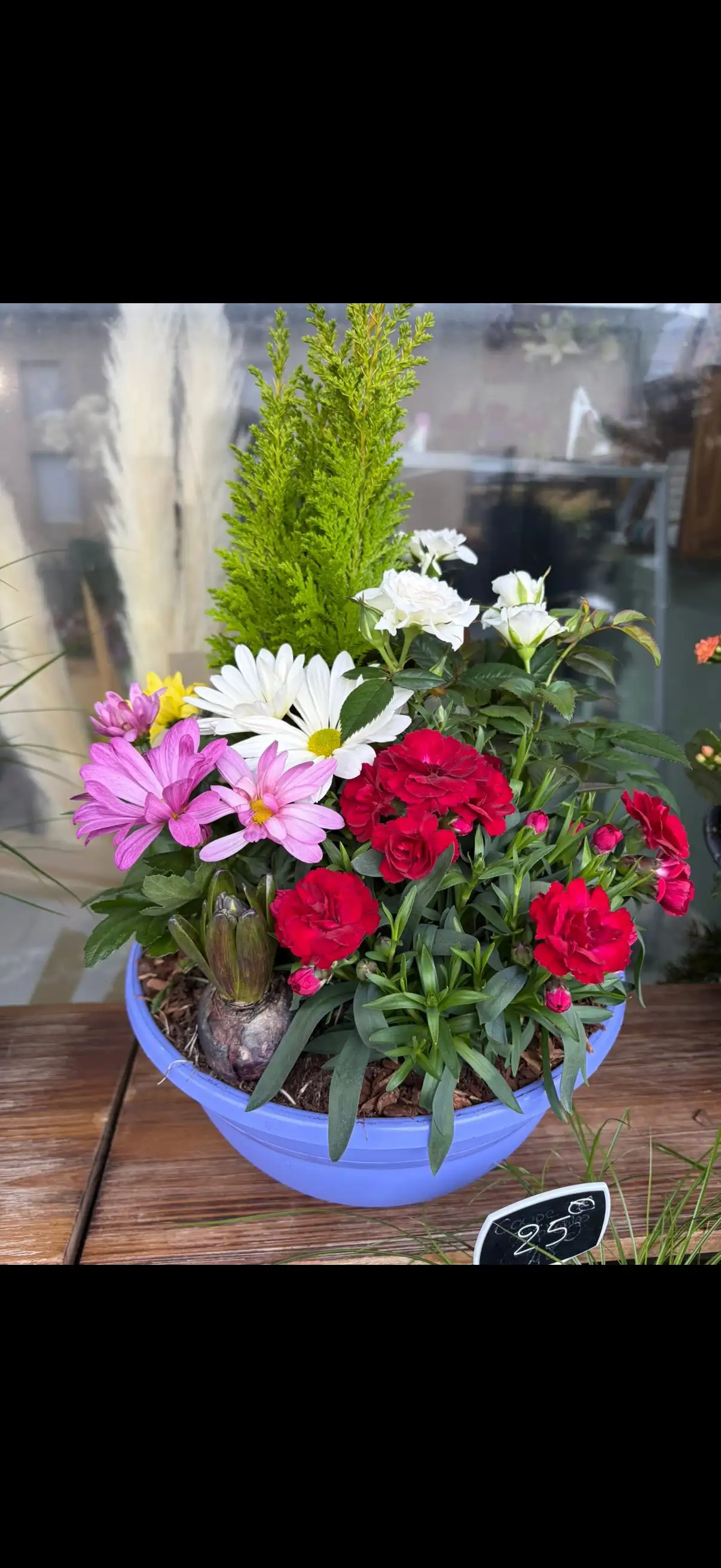 Coupe de plantes