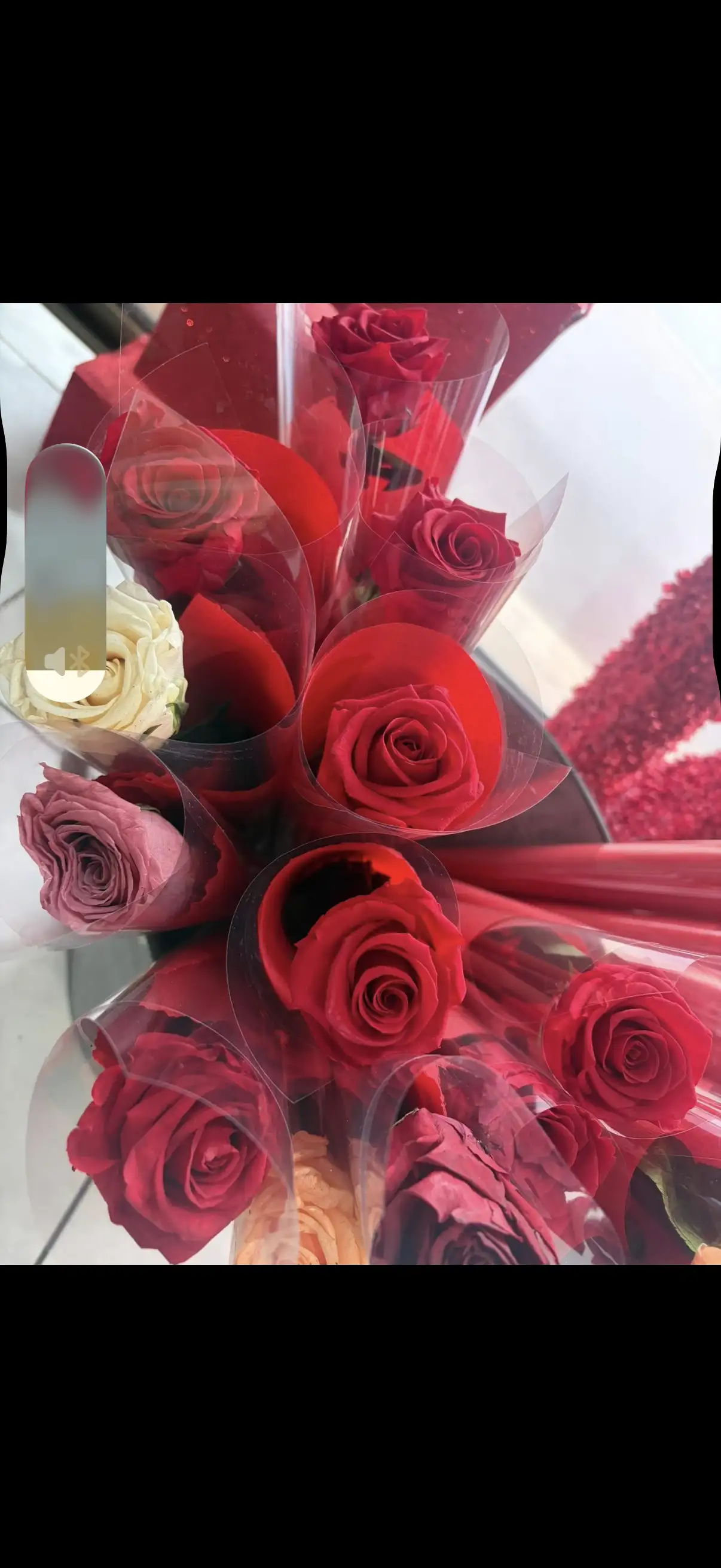 Rose éternelle