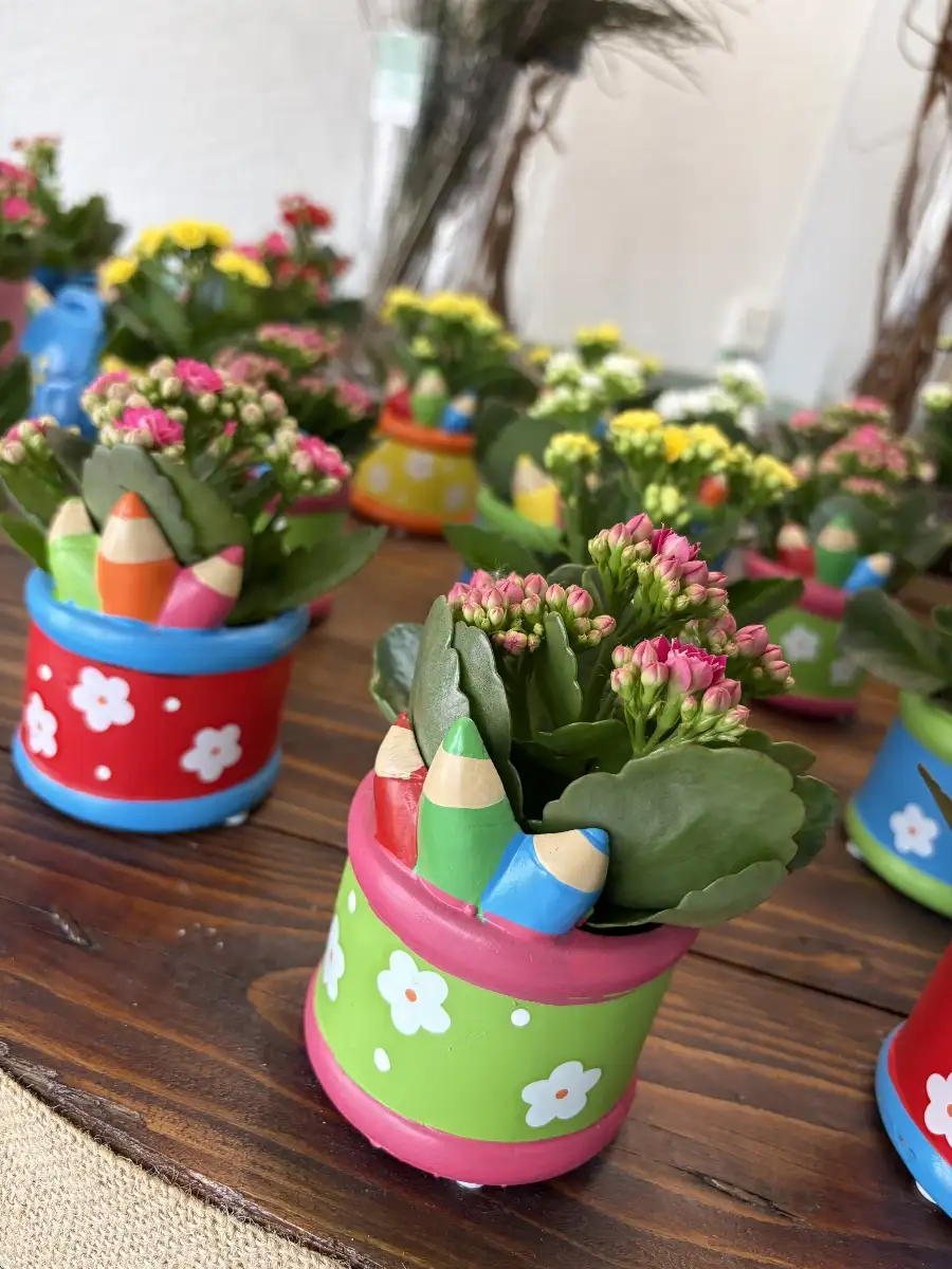 Plantes fleurie