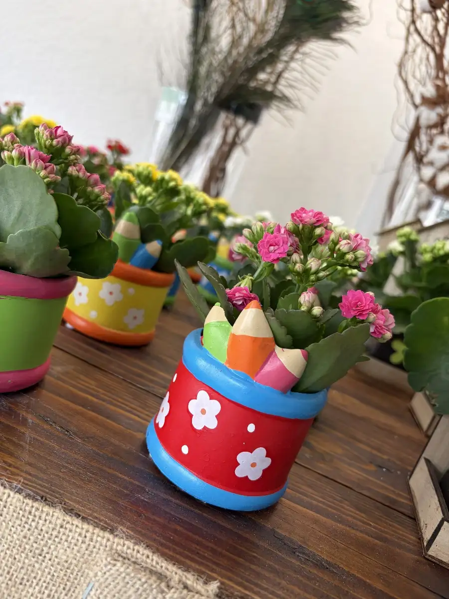 Plantes fleurie