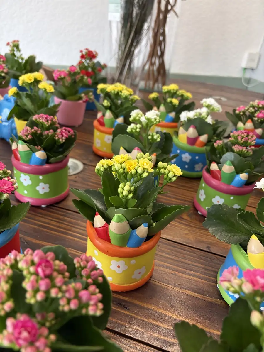 Plantes fleurie