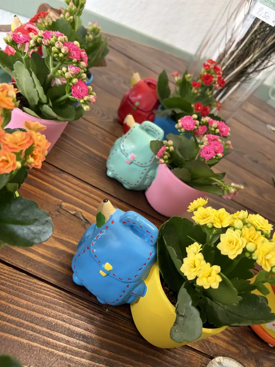 Plantes fleuries
