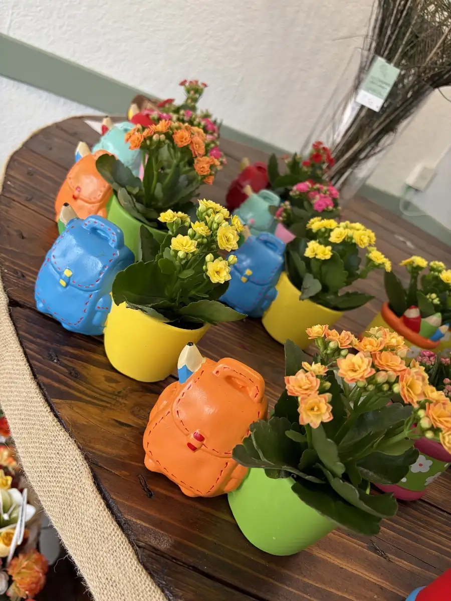 Plantes fleuries