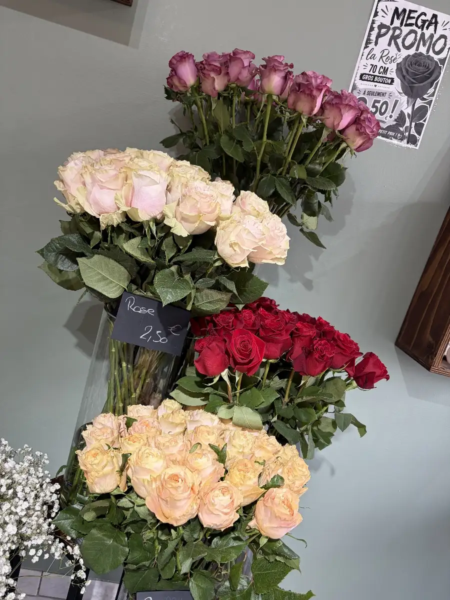 Rose promo